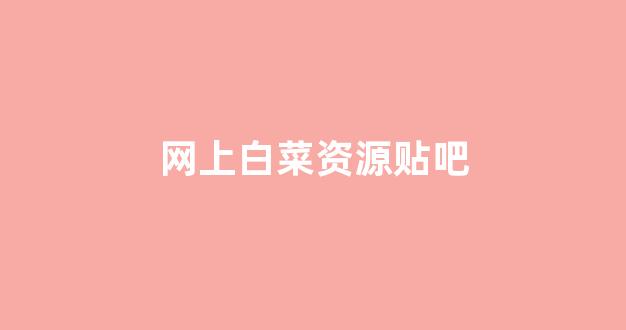 白菜公司排名
